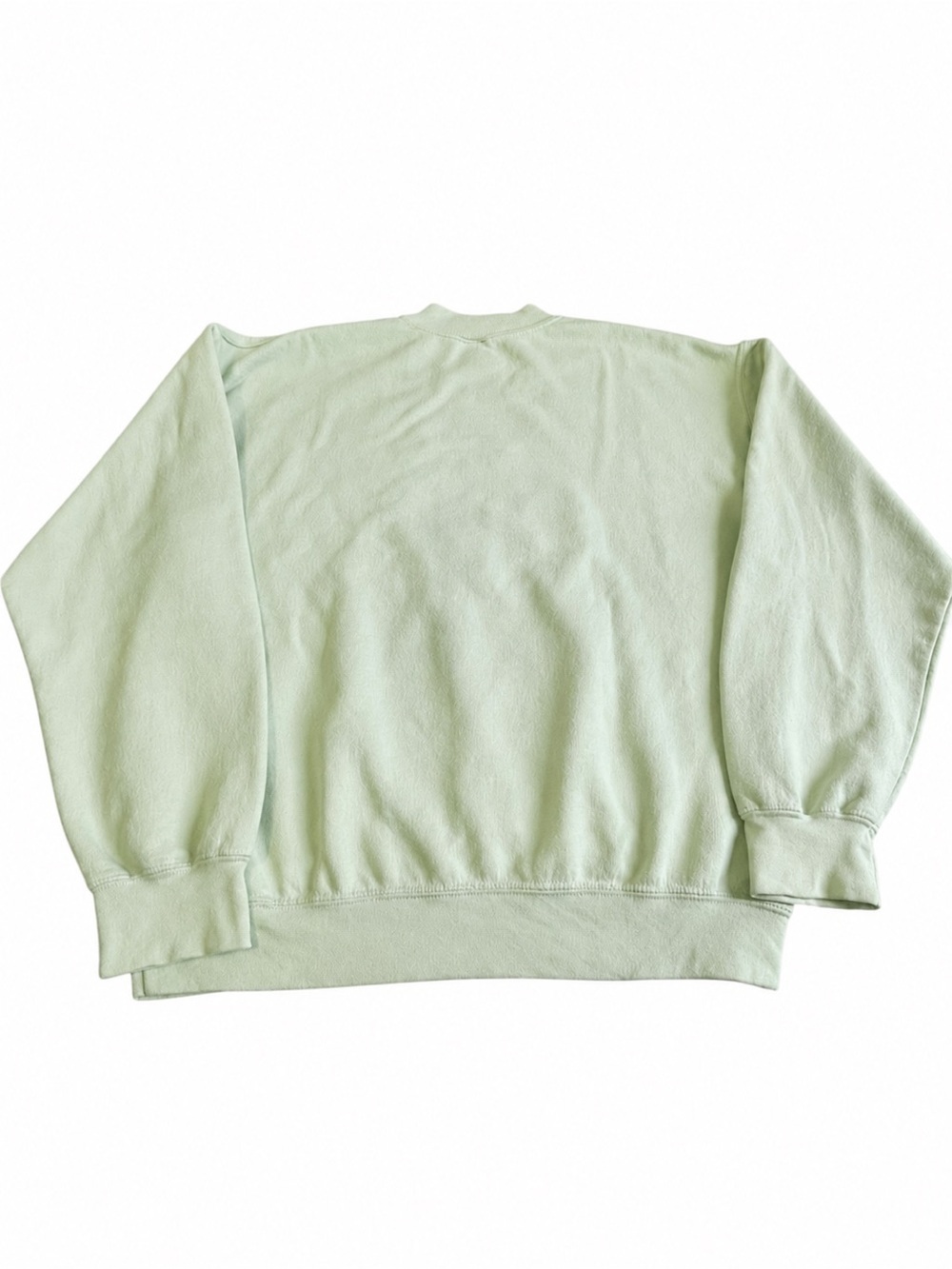 Vintage Iris Embroidered Pastel Green Crewneck Sweatshirt Cottagecore M - Picture 2 of 14